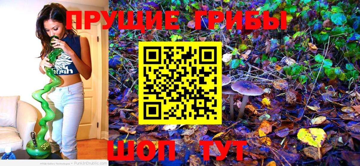 Галлюциногенные грибы MAGIC MUSHROOMS  Вход с VPN  цена   Рославль  Галлюциногенные грибы GOLDEN TEACHER 