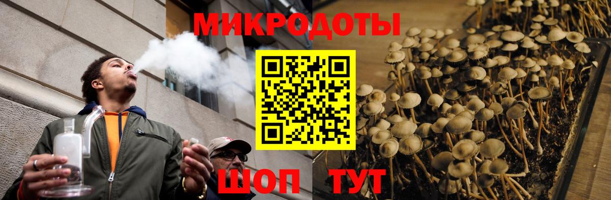 Псилоцибиновые грибы GOLDEN TEACHER Рославль